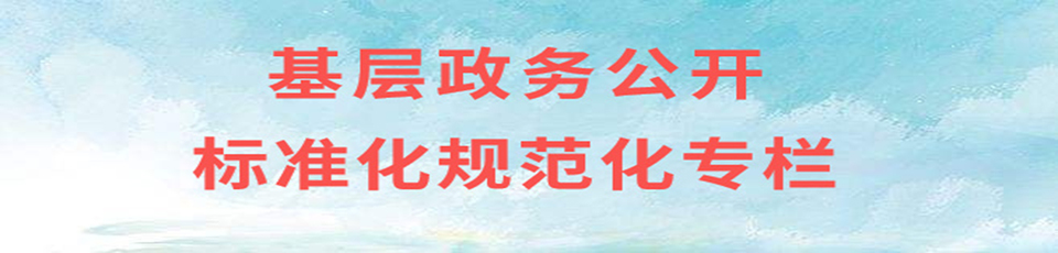 基層政務(wù)公開(kāi)標(biāo)準(zhǔn)化規(guī)范化建設(shè)專(zhuān)欄